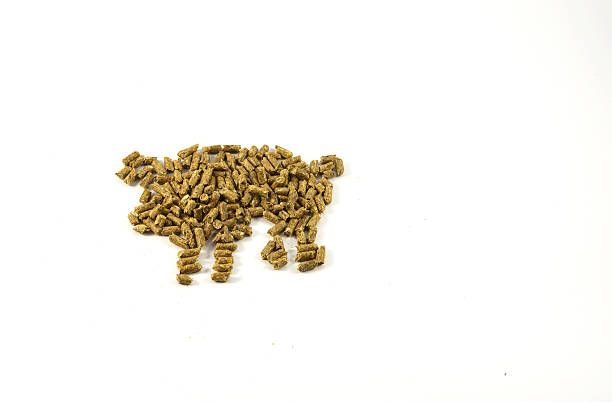 مکمل دام دوستدار محیط‌ زیست ترکیبات طبیعی و فاقد مواد مضر